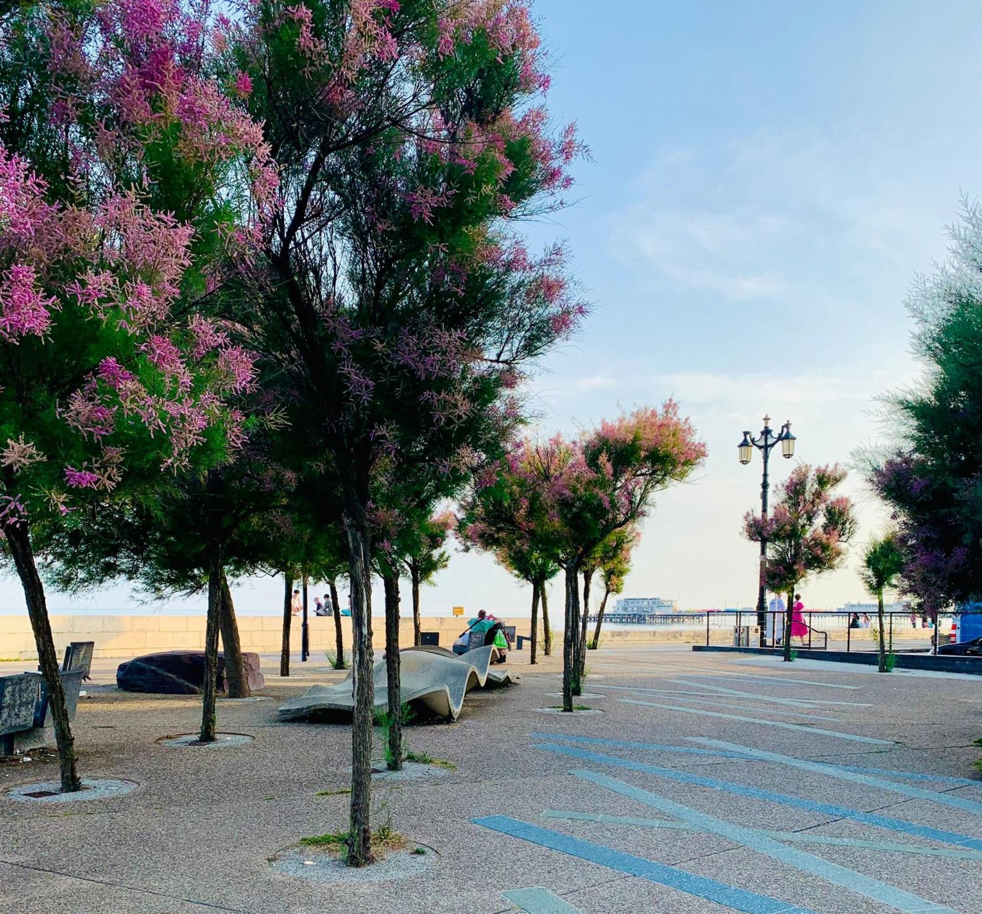 ワージングBirdsong & Pine: Parking & Gardenアパートメント エクステリア 写真